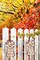 2 Rolls of Fall Ribbons for Crafting, Thanksgiving Wired Edge Ribbon Natural Buffalo Plaid Ribbon Bow Autumn Calf Farmhouse Burlap Ribbon for Gift Wrapping Fall Thanksgiving Decoration Supplies